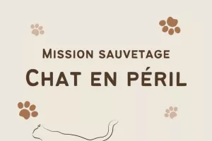 [Mission sauvetage : chat en péril ! / Service Gestion et Prévention des Déchets de la CCBA (Escape Game familial dès 8 ans)]