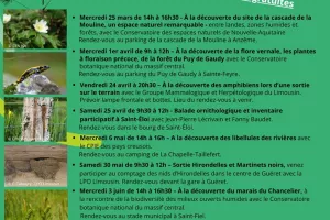 ABC de la biodiversité : apprendre à identifier les papillons de jour