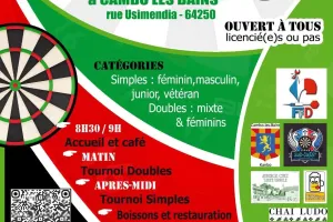 Fléchettes traditionnelles - Open de comité