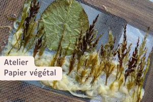 Atelier papier végétal au Moulin du Got