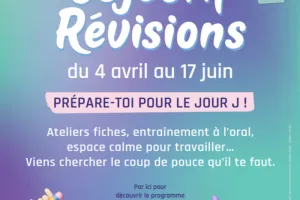 Comment bien rédiger ses fiches de révisions
