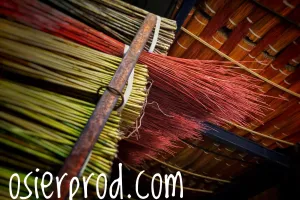 Visite d'une exploitation productrice d'osier "la récolte"