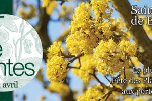 Fête des plantes de Saint Jean de Beauregard