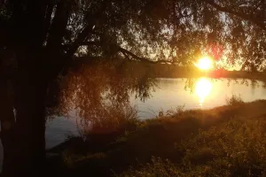 Matin d'été en bords de Loire