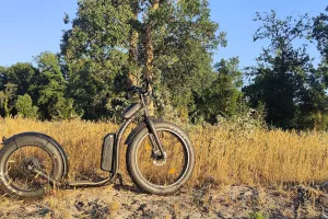 Découvrez Mimizan en Tchanquaroue