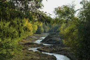 Le rêve du canal - Atelier 6/12 ans