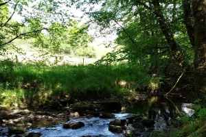Le printemps du bocage