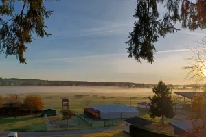 Courses Hippiques Plat/Obstacle