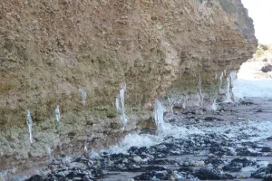 Du fossile à l'actuel au Cap Romain