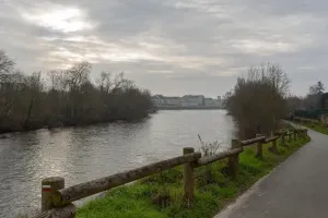 chants d'oiseaux des bords de Vienne
