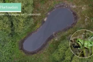 Sortie Nocturne - À la découverte des amphibiens