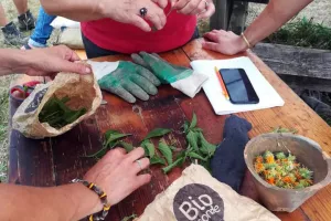 De la cuisine au compost