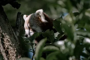 exposition « le voyage commence ici »