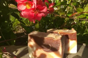 Visite de la savonnerie artisanale Bellecomme