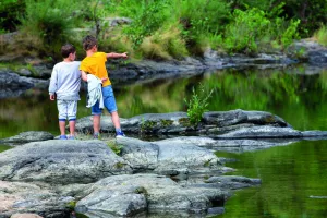SORTIE NATURE - LA VIE DE LA TRUYÈRE