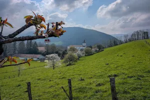 Randonnée sous les ailes du vautour fauve