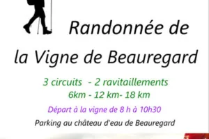 Randonnée de la Vigne de Beauregard