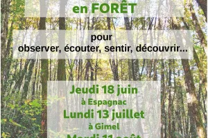 Balades - Partages en forêts