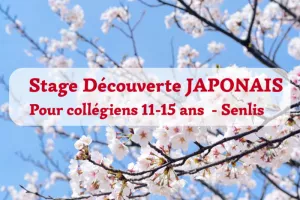 Stage découverte du japonais pour collégiens