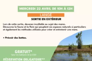 Sortie "Découverte des mares"