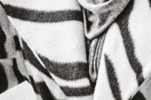 Club de lecture des Francophonies