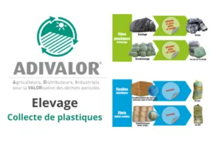 Collecte de plastiques