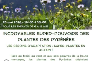 INCROYABLES SUPER-POUVOIRS DES PLANTES DES PYRÉNÉES