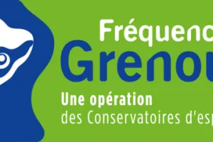 Fréquence grenouille au Pinail