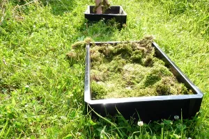 Atelier nature pour les moins de 3 ans : Les tout-petits en sortie