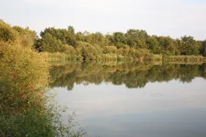 Oiseaux nicheurs de la Réserve Naturelle Régionale Terres et étangs de Brenne Massé-Foucault