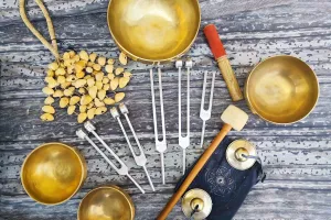 Voyage Sonore- Vic des prés