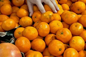 Exposition photos - Couleur