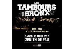 LES TAMBOURS DU BRONX