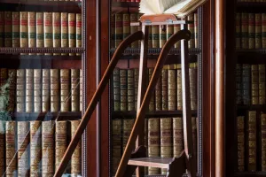 Les Bibliothèques imaginaires - Épisode 2 : La bibliothèque imaginaire de Don Quichotte et des livres interdits