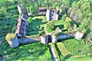 Visite du château de Mez-le-Maréchal