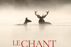 Projection Château-Salins - Le chant des forêts