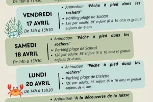 A la découverte de la laisse de mer