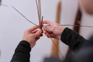 Vannerie -Sculpture d'osier