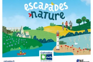 Mouette ou goéland, les connaissez-vous vraiment ?