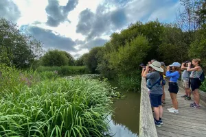 Découverte du Marais d'Orx