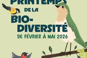 Fresque participative de la biodiversité - Représenter la flore