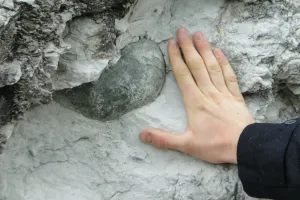 Sortie nature à la Réserve de Tercis