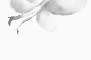 Musée de la Question