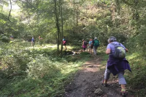 Randonnée accompagnée avec Ramondia : Ibanteli