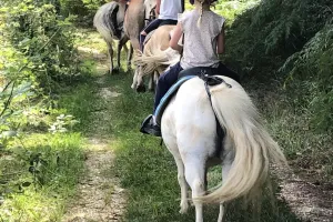 Balade à poney