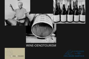 PRESENTATION ET DEGUSTATION DES CUVEES DU MAS DU FIGUIER