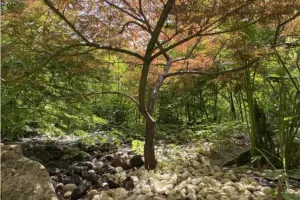 Visite des lilliputiens, une question de point de vue - Rendez-vous aux jardins