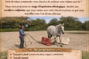 STAGE D'EQUITATION ETHOLOGIQUE