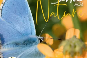 Sortie Nature : Chasse au Trésor