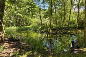 Sortie nature à Vauclair : "Les dents de la mare"